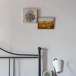 Farmhouse In Buonconvento *