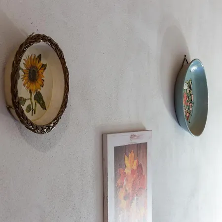 Tatil Evi In