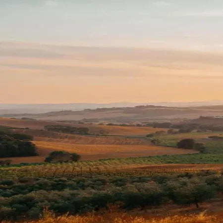 別荘 In ブオンコンヴェント
