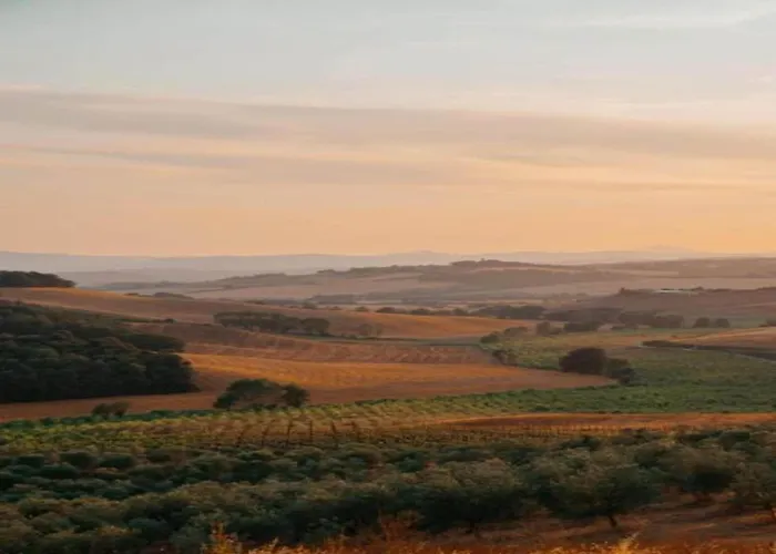 別荘 In ブオンコンヴェント